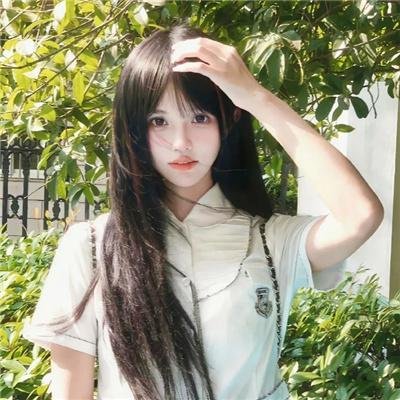 监察局长