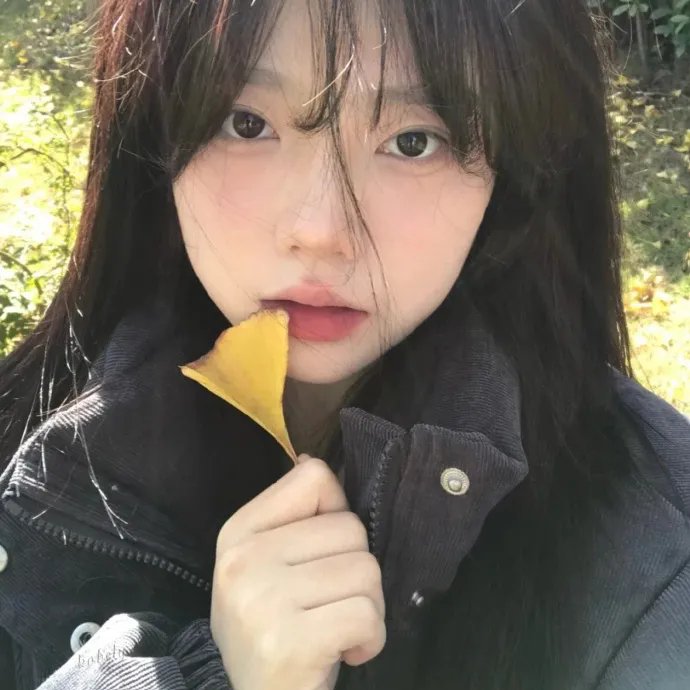 阿衰第二季